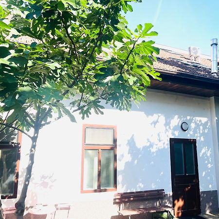 Jokai Apartman Komarno Exterior photo